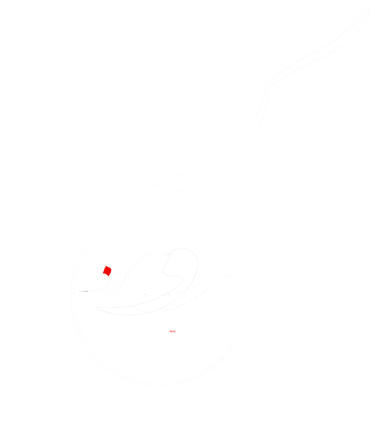 Piroozgar Logo